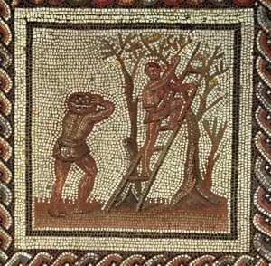 Raccolta di frutta, mosaico romano da Saint-Romain-en-Gal, Francia, 200-225 d.C.